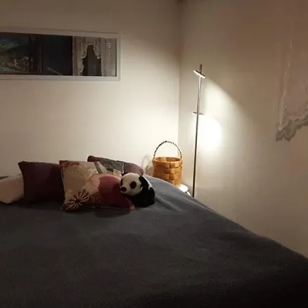 Keskustan Laeheisyydessae Omakotitalo 4 Mh Apartmán